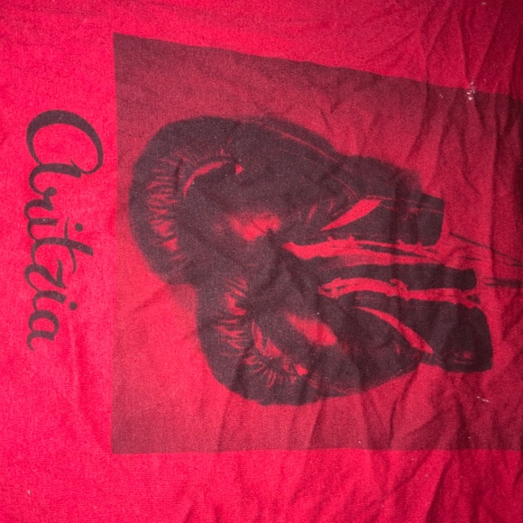 Aritzia oversized tee - Picture 2 of 2